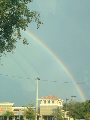 rainbow pic